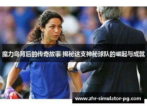 魔力鸟背后的传奇故事 揭秘这支神秘球队的崛起与成就